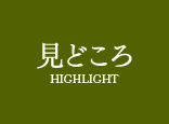 볼쇼