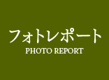 포토 리포트